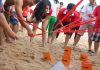 Tổ chức team building biển uy tín, chuyên nghiệp, giá tốt nhất